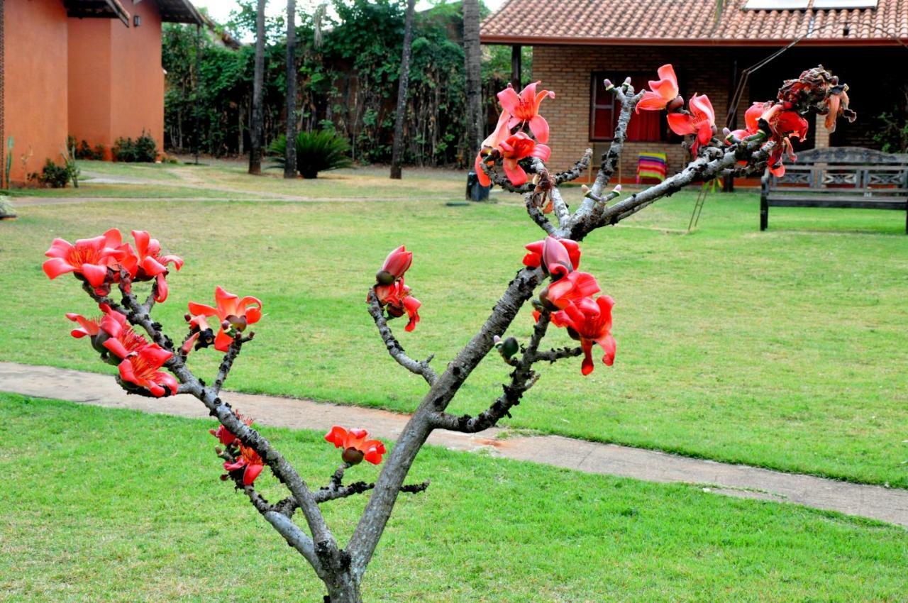 Beco Da Lua Inn Olímpia